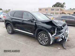 2023 Hyundai Santa Fe SEL Convenience with VIN KM8S6DA27PU090230, listed as a IAAI auction lot 42067488 with 16,759 mi miles and . Bid and sale history available at DreamBid. Image 1.