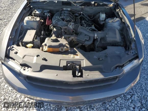 ✅ 2011 Ford Mustang Premium • VIN: 1ZVBP8AM9B5135467 • Lot: 82544325. Listed on Copart with 131,693 mi. Free auction sales archive from the USA and detailed vehicle history report at DreamBid. Image 11.