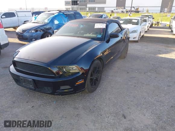 2014 Ford Mustang V6 with VIN 1ZVBP8EM1E5328453, listed as a IAAI auction lot 43291892 with 174,135 mi miles and . Bid and sale history available at DreamBid. Image 17.