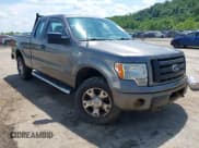 ✅ 2010 Ford F-150 XL • VIN: 1FTEX1EW3AFC76479 • Lot: 42586668. Listed on IAAI with 198,880 mi. Free auction sales archive from the USA and detailed vehicle history report at DreamBid. Image 1.