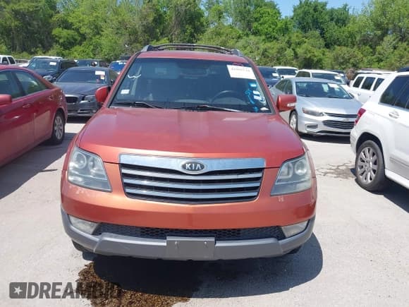 ✅ 2009 Kia Borrego Limited • VIN: KNDJJ742X95020813 • Lot: 41995734. Listed on IAAI with 215,314 mi. Free auction sales archive from the USA and detailed vehicle history report at DreamBid. Image 6.