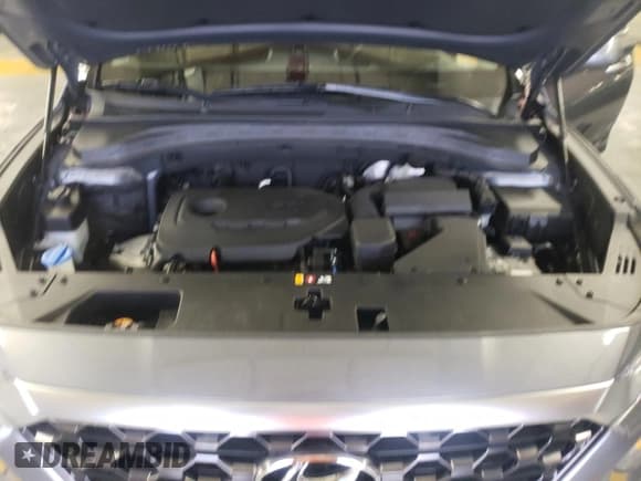 ✅ 2019 Hyundai Santa Fe SE • VIN: 5NMS2CAD6KH120975 • Lot: 68759392. Wystawiony na Copart z przebiegiem 51 647 mil. Bezpłatny archiwum sprzedaży aukcyjnych z USA i szczegółowy raport historii pojazdu na DreamBid. Zdjęcie 12.