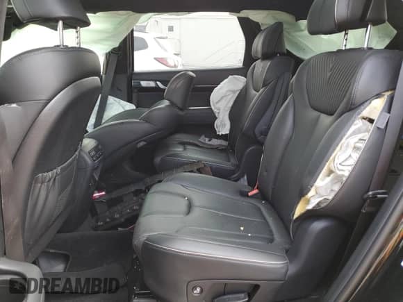 2023 Hyundai Palisade Calligraphy с VIN KM8R7DGE7PU545624, выставлен на аукционе Copart как лот 67862264 с пробегом Не указан миль и Списание • Salvage title. История ставок и продаж доступна на DreamBid. Изображение 11.