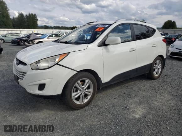 ✅ 2011 Hyundai Tucson Limited • VIN: KM8JUCAC8BU158158 • Lot: 69230695. Listed on Copart with 158,438 mi miles. Access the free auction sales archive from the USA and view a detailed vehicle history report at DreamBid. Image 1.