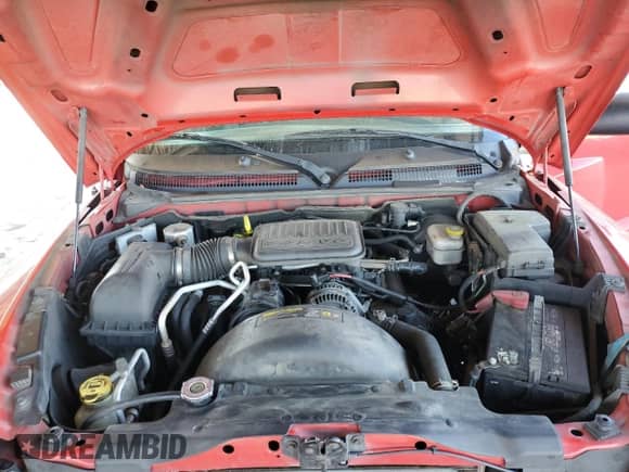 2010 Dodge Dakota Bighorn/Lonestar z VIN 1D7CE3GK9AS163619, wystawiony jako Copart lot #77604814 z przebiegiem 187 461 mil mil oraz Czysty tytuł • Clean title. Historia ofert i sprzedaży dostępna na DreamBid. Obrazek 11.