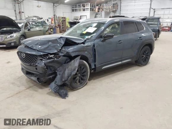 ✅ 2024 Mazda CX-50 S Premium • VIN: 7MMVABDM1RN160979 • Lot: 42950171. Wystawiony na IAAI z przebiegiem 20 624 mil. Bezpłatny archiwum sprzedaży aukcyjnych z USA i szczegółowy raport historii pojazdu na DreamBid. Zdjęcie 17.
