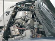 ✅ 2003 Honda Element EX • VIN: 5J6YH28543L017257 • Lot: 42391189. Listed on IAAI with 142,104 mi. Free auction sales archive from the USA and detailed vehicle history report at DreamBid. Image 19.