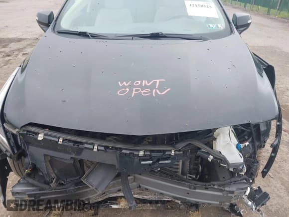 ✅ 2021 Cadillac XT5 AWD Premium Luxury • VIN: 1GYKNDRS4MZ132969 • Лот: 42158525. Опубликован ранее на IAAI с пробегом 37 526 миль. Бесплатный доступ к архиву аукционных продаж из США и подробный отчёт об истории автомобиля на DreamBid. Изображение 10.