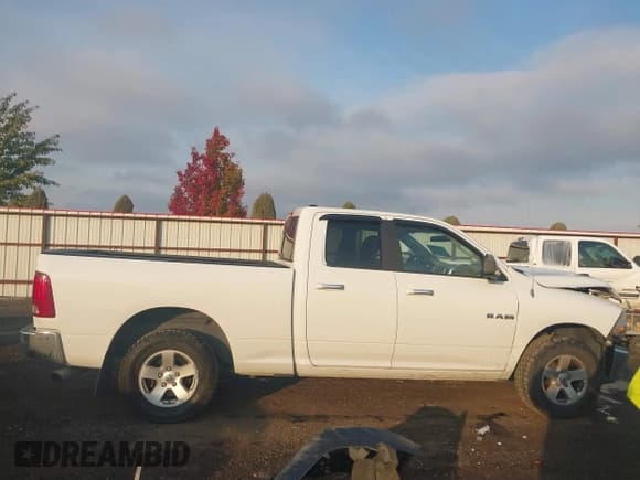 ✅ 2010 Dodge 1500 SLT • VIN: 1D7RV1GP1AS173748 • Lot: 43566678. Listed on IAAI with 169,034 mi. Free auction sales archive from the USA and detailed vehicle history report at DreamBid. Image 12.