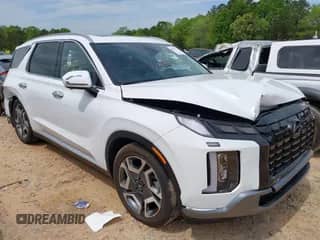 ✅ 2025 Hyundai Palisade Limited • VIN: KM8R54GEXSU843518 • Лот: 42043752. Размещён на IAAI с пробегом 4 330 миль миль. Получите бесплатный доступ к архиву аукционных продаж из США и посмотрите подробный отчёт об истории автомобиля на DreamBid. Изображение 1.