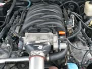 ✅ 2008 Ford Mustang GT Deluxe • VIN: 1ZVHT82H685147219 • Lot: 41285277. Listed on IAAI with 116,277 mi. Free auction sales archive from the USA and detailed vehicle history report at DreamBid. Image 19.