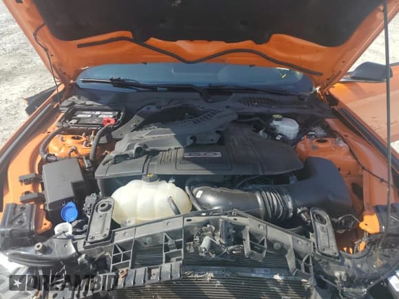 ✅ 2021 Ford Mustang GT • VIN: 1FA6P8CFXM5149440 • Лот: 81536715. Опубликован ранее на Copart с пробегом 61 878 миль. Бесплатный доступ к архиву аукционных продаж из США и подробный отчёт об истории автомобиля на DreamBid. Изображение 11.