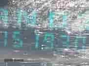 2002 Chevrolet Impala z VIN 2G1WF52E429259283, wystawiony jako IAAI lot #43578218 z przebiegiem 151 830 mil mil oraz . Historia ofert i sprzedaży dostępna na DreamBid. Obrazek 7.