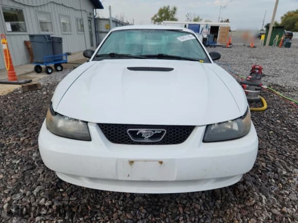 ✅ 2002 Ford Mustang Standard • VIN: 1FAFP40462F118446 • Lot: 86857785. Listed on Copart with 108,154 mi. Free auction sales archive from the USA and detailed vehicle history report at DreamBid. Image 5.
