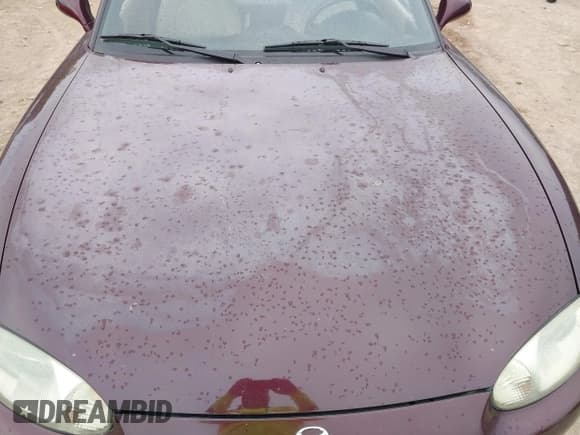 ✅ 2000 Mazda MX-5 Miata • VIN: JM1NB3536Y0147844 • Lot: 42217215. Listed on IAAI with 94,806 mi. Free auction sales archive from the USA and detailed vehicle history report at DreamBid. Image 6.