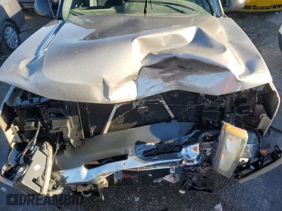 ✅ 2006 Chevrolet Silverado 1500 LS • VIN: 1GCEC19X66Z116391 • Lot: 84517514. Listed on Copart with 261,898 mi. Free auction sales archive from the USA and detailed vehicle history report at DreamBid. Image 11.