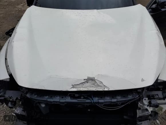 ✅ 2017 Infiniti Q50 Red Sport 400 • VIN: JN1FV7AR0HM872008 • Lot: 66469755. Listed on Copart with 98,587 mi. Free auction sales archive from the USA and detailed vehicle history report at DreamBid. Image 11.