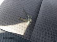 ✅ 1986 Volkswagen Vanagon • VIN: WV2YB0251GG004597 • Lot: 41646089. Listed on IAAI with 128,123 mi. Free auction sales archive from the USA and detailed vehicle history report at DreamBid. Image 11.