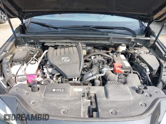 ✅ 2024 Lexus NX 350 • VIN: 2T2AGCEZ3RC057624 • Lot: 42895488. Listed on IAAI with 25,336 mi. Free auction sales archive from the USA and detailed vehicle history report at DreamBid. Image 10.