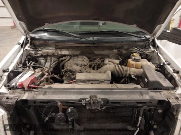 ✅ 2014 Ford F-150 XL • VIN: 1FTMF1EM4EKD69618 • Lot: 43404212. Listed on IAAI with 112,364 mi. Free auction sales archive from the USA and detailed vehicle history report at DreamBid. Image 10.