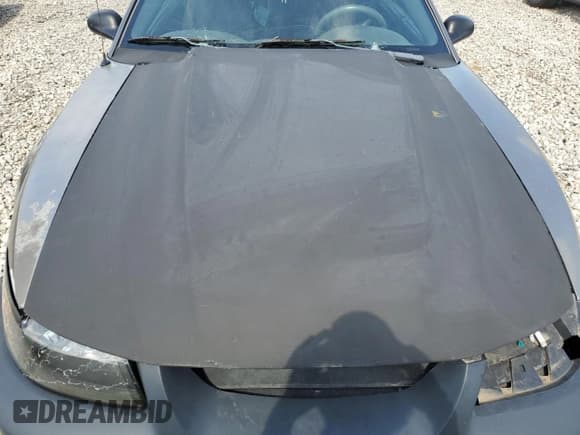 ✅ 2002 Ford Mustang GT Deluxe • VIN: 1FAFP45X02F191248 • Lot: 64634375. Listed on Copart with Not provided. Free auction sales archive from the USA and detailed vehicle history report at DreamBid. Image 11.