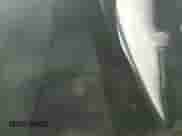 1993 Dodge Dakota with VIN 1B7GG23XXPS225331, listed as a Copart auction lot 76949184 with 208,232 mi miles and Salvage title. Bid and sale history available at DreamBid. Image 10.