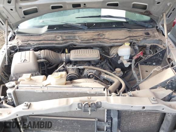 2007 Dodge 1500 ST z VIN 1D7HA18K67J502422, wystawiony jako IAAI lot #42666653 z przebiegiem 315 639 mil mil oraz . Historia ofert i sprzedaży dostępna na DreamBid. Obrazek 10.