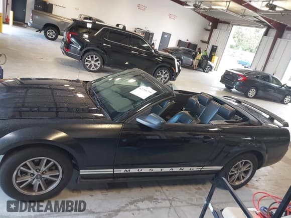 ✅ 2005 Ford Mustang Deluxe • VIN: 1ZVFT84N855165811 • Лот: 42208259. Опубликован ранее на IAAI с пробегом 128 799 миль. Бесплатный доступ к архиву аукционных продаж из США и подробный отчёт об истории автомобиля на DreamBid. Изображение 14.