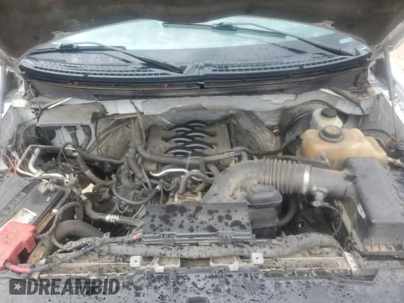 ✅ 2012 Ford F-150 STX • VIN: 1FTFX1CF7CKD10098 • Lot: 82253605. Wystawiony na Copart z przebiegiem 198 837 mil. Bezpłatny archiwum sprzedaży aukcyjnych z USA i szczegółowy raport historii pojazdu na DreamBid. Zdjęcie 11.