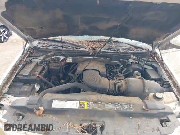 ✅ 2001 Ford F-150 XLT • VIN: 1FTRW07W41KA42743 • Лот: 42605714. Опубликован ранее на IAAI с пробегом 254 360 миль. Бесплатный доступ к архиву аукционных продаж из США и подробный отчёт об истории автомобиля на DreamBid. Изображение 10.