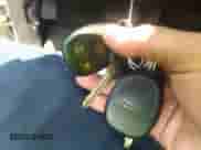 2011 Chevrolet Tahoe Commercial with VIN 1GNSK4E08BR361789, listed as a IAAI auction lot 37174620 with Not provided miles and . Bid and sale history available at DreamBid. Image 11.