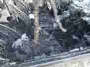 ✅ 2017 Chevrolet Equinox LT • VIN: 2GNFLFEKXH6260253 • Lot: 43371035. Listed on IAAI with Not provided. Free auction sales archive from the USA and detailed vehicle history report at DreamBid. Image 5.