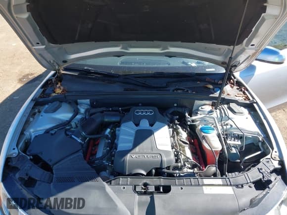 ✅ 2013 Audi S5 Premium Plus • VIN: WAUCGAFR6DA030864 • Лот: 43398099. Опубликован ранее на IAAI с пробегом 69 276 миль. Бесплатный доступ к архиву аукционных продаж из США и подробный отчёт об истории автомобиля на DreamBid. Изображение 10.