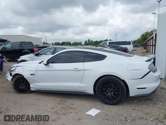 ✅ 2017 Ford Mustang GT • VIN: 1FA6P8CF7H5256581 • Lot: 42124096. Listed on IAAI with 105,296 mi. Free auction sales archive from the USA and detailed vehicle history report at DreamBid. Image 14.