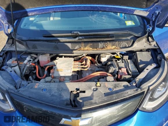 ✅ 2017 Chevrolet Bolt EV LT • VIN: 1G1FW6S04H4173574 • Lot: 86501034. Wystawiony na Copart z przebiegiem Nie podano. Bezpłatny archiwum sprzedaży aukcyjnych z USA i szczegółowy raport historii pojazdu na DreamBid. Zdjęcie 12.