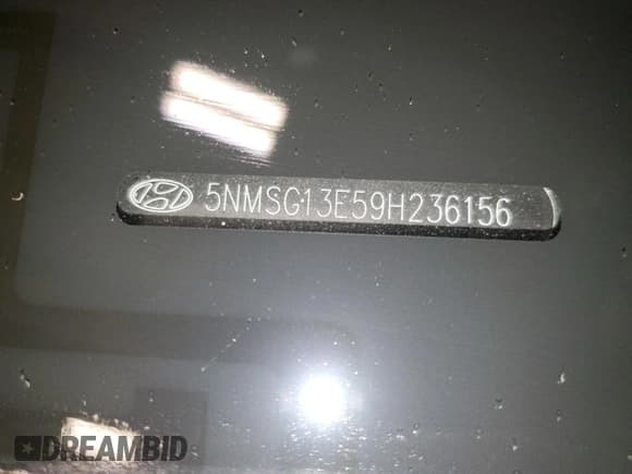 ✅ 2009 Hyundai Santa Fe GL • VIN: 5NMSG13E59H236156 • Lot: 50739185. Listed on Copart with 120,078 mi. Free auction sales archive from the USA and detailed vehicle history report at DreamBid. Image 13.