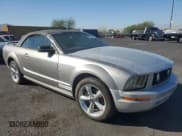 ✅ 2008 Ford Mustang GT Deluxe • VIN: 1ZVHT85H485192395 • Lot: 81083065. Listed on Copart with Not provided. Free auction sales archive from the USA and detailed vehicle history report at DreamBid. Image 4.
