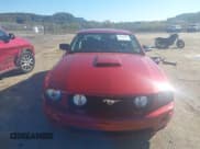 ✅ 2008 Ford Mustang GT Deluxe • VIN: 1ZVHT82H685120215 • Lot: 43426887. Listed on IAAI with 77,034 mi. Free auction sales archive from the USA and detailed vehicle history report at DreamBid. Image 13.