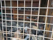 ✅ 2020 Chevrolet Express Cargo • VIN: 1GCWGAFP8L1254196 • Lot: 84562025. Wystawiony na Copart z przebiegiem Nie podano. Bezpłatny archiwum sprzedaży aukcyjnych z USA i szczegółowy raport historii pojazdu na DreamBid. Zdjęcie 11.