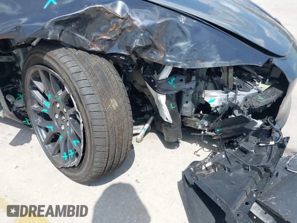 ✅ 2024 Tesla Model 3 • VIN: 5YJ3E1EAXRF864719 • Lot: 42129944. Wystawiony na IAAI z przebiegiem 3 776 mil. Bezpłatny archiwum sprzedaży aukcyjnych z USA i szczegółowy raport historii pojazdu na DreamBid. Zdjęcie 19.