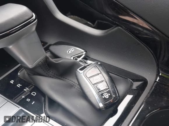 ✅ 2025 Hyundai Elantra SEL Convenience • VIN: KMHLS4DG5SU974859 • Lot: 43527412. Listed on IAAI with 18,439 mi. Free auction sales archive from the USA and detailed vehicle history report at DreamBid. Image 11.