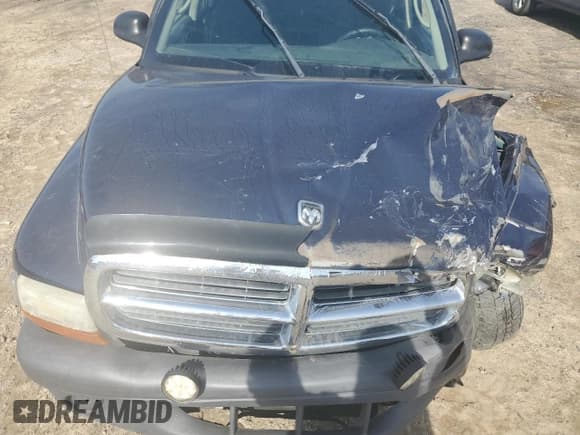 ✅ 2004 Dodge Dakota • VIN: 1D7GL12K64S663339 • Lot: 78636264. Wystawiony na Copart z przebiegiem 236 572 mil. Bezpłatny archiwum sprzedaży aukcyjnych z USA i szczegółowy raport historii pojazdu na DreamBid. Zdjęcie 12.