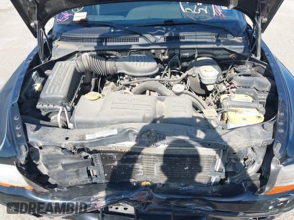 ✅ 2000 Dodge Dakota SLT • VIN: 1B7GL26ZXYS720333 • Lot: 41972966. Wystawiony na IAAI z przebiegiem 111 584 mil. Bezpłatny archiwum sprzedaży aukcyjnych z USA i szczegółowy raport historii pojazdu na DreamBid. Zdjęcie 10.