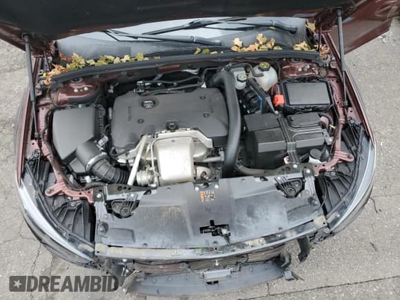 ✅ 2019 Buick Regal Essence • VIN: W04GV8SX2K1030598 • Lot: 70877714. Listed on Copart with 61,881 mi. Free auction sales archive from the USA and detailed vehicle history report at DreamBid. Image 11.