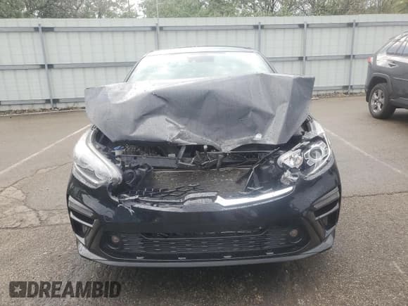 ✅ 2019 Kia Forte S • VIN: 3KPF34AD2KE069891 • Lot: 83883355. Listed on Copart with 54,685 mi. Free auction sales archive from the USA and detailed vehicle history report at DreamBid. Image 5.