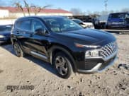 ✅ 2021 Hyundai Santa Fe SEL • VIN: 5NMS6DAJ1MH356937 • Lot: 78811203. Wystawiony na Copart z przebiegiem 43 516 mil. Bezpłatny archiwum sprzedaży aukcyjnych z USA i szczegółowy raport historii pojazdu na DreamBid. Zdjęcie 4.