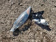 ✅ 2016 Ford Fiesta SE • VIN: 3FADP4BJ1GM119215 • Lot: 91562805. Wystawiony na Copart z przebiegiem 72 392 mil. Bezpłatny archiwum sprzedaży aukcyjnych z USA i szczegółowy raport historii pojazdu na DreamBid. Zdjęcie 12.