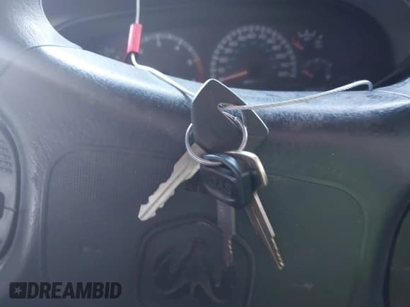 ✅ 2000 Dodge Dakota • VIN: 1B7GL22X2YS587619 • Lot: 43484603. Listed on IAAI with 230,262 mi. Free auction sales archive from the USA and detailed vehicle history report at DreamBid. Image 11.