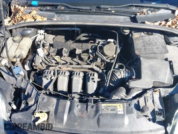 ✅ 2014 Ford Focus SE • VIN: 1FADP3F28EL187071 • Лот: 43768508. Опубликован ранее на IAAI с пробегом 138 640 миль. Бесплатный доступ к архиву аукционных продаж из США и подробный отчёт об истории автомобиля на DreamBid. Изображение 10.