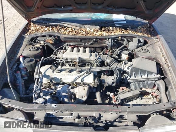 ✅ 1992 Nissan Sentra E • VIN: 1N4EB32AXNC814739 • Lot: 41763476. Wystawiony na IAAI z przebiegiem 136 990 mil. Bezpłatny archiwum sprzedaży aukcyjnych z USA i szczegółowy raport historii pojazdu na DreamBid. Zdjęcie 10.